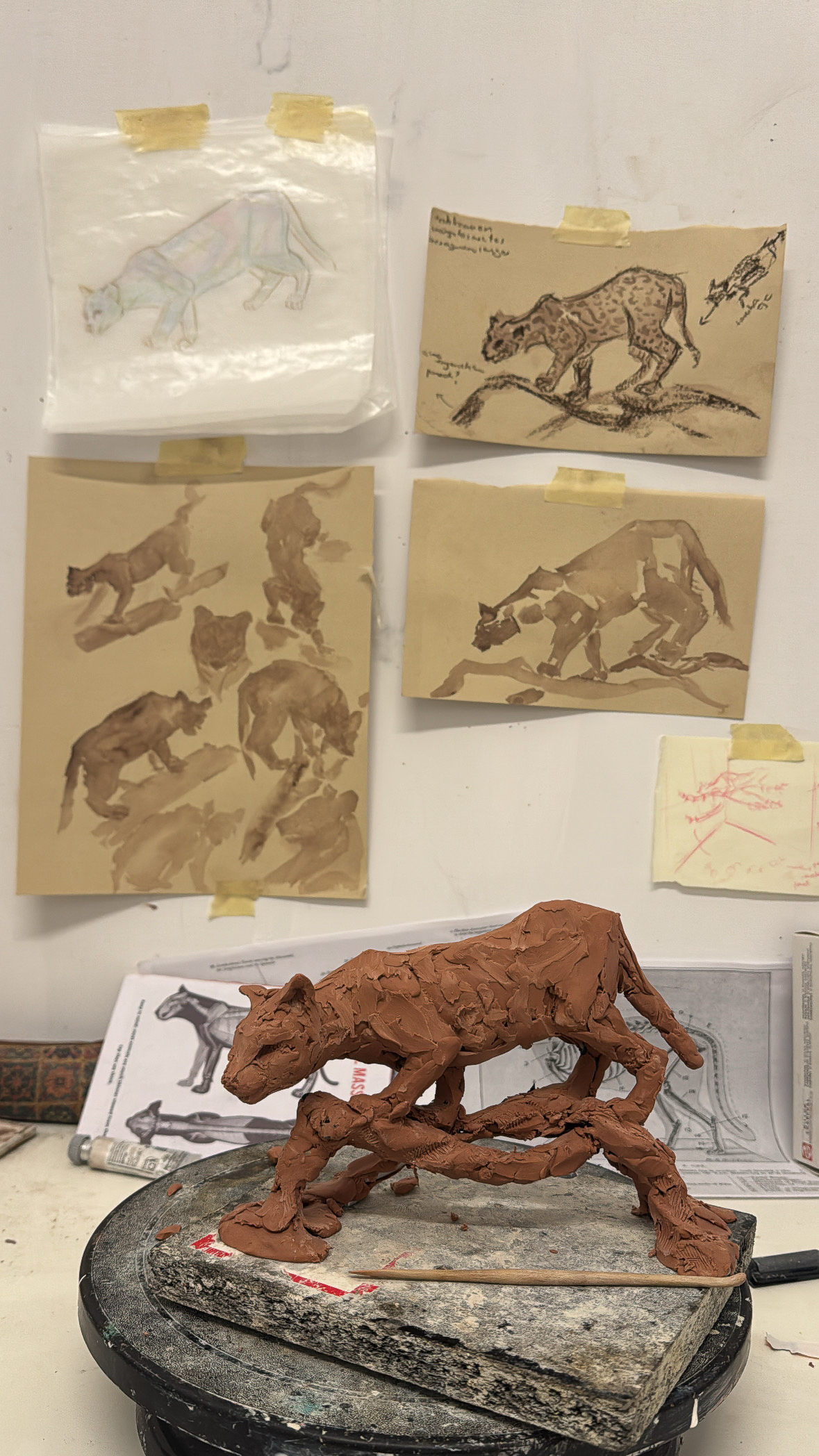 Sculpture Studies